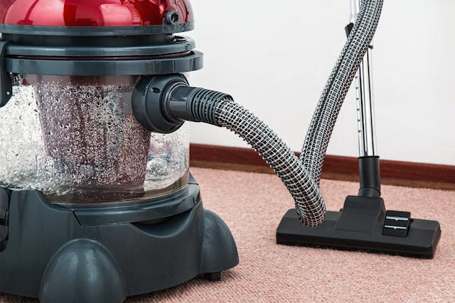 How to Get Stains Out of Your Carpet